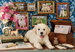 Anatolian – Labrador 500 Piece Puzzle