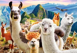 Castorland – Llamas Selfie 1000 Piece Puzzle