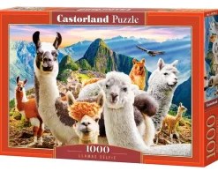 Castorland –  Llamas Selfie 1000 Piece Puzzle