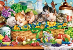 Castorland – Napping Kittens 1000 Piece Puzzle