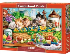 Castorland –  Napping Kittens 1000 Piece Puzzle