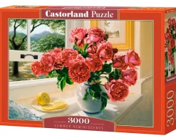 Castorland – Summer Reminiscence 3000 Piece Puzzle