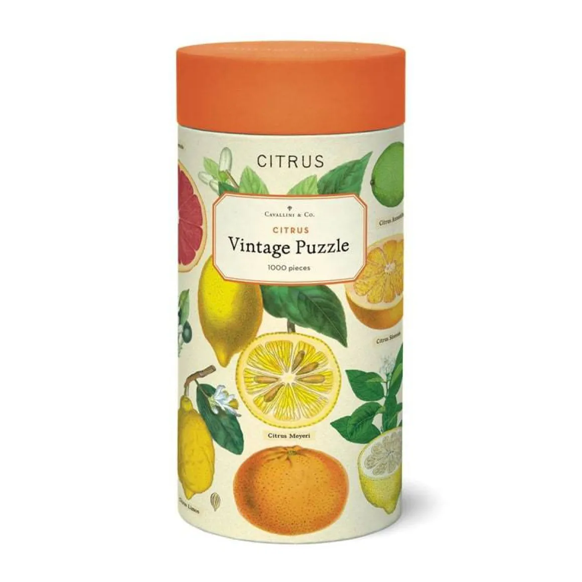 Cavallini & Co – Citrus 1000 Piece Puzzle