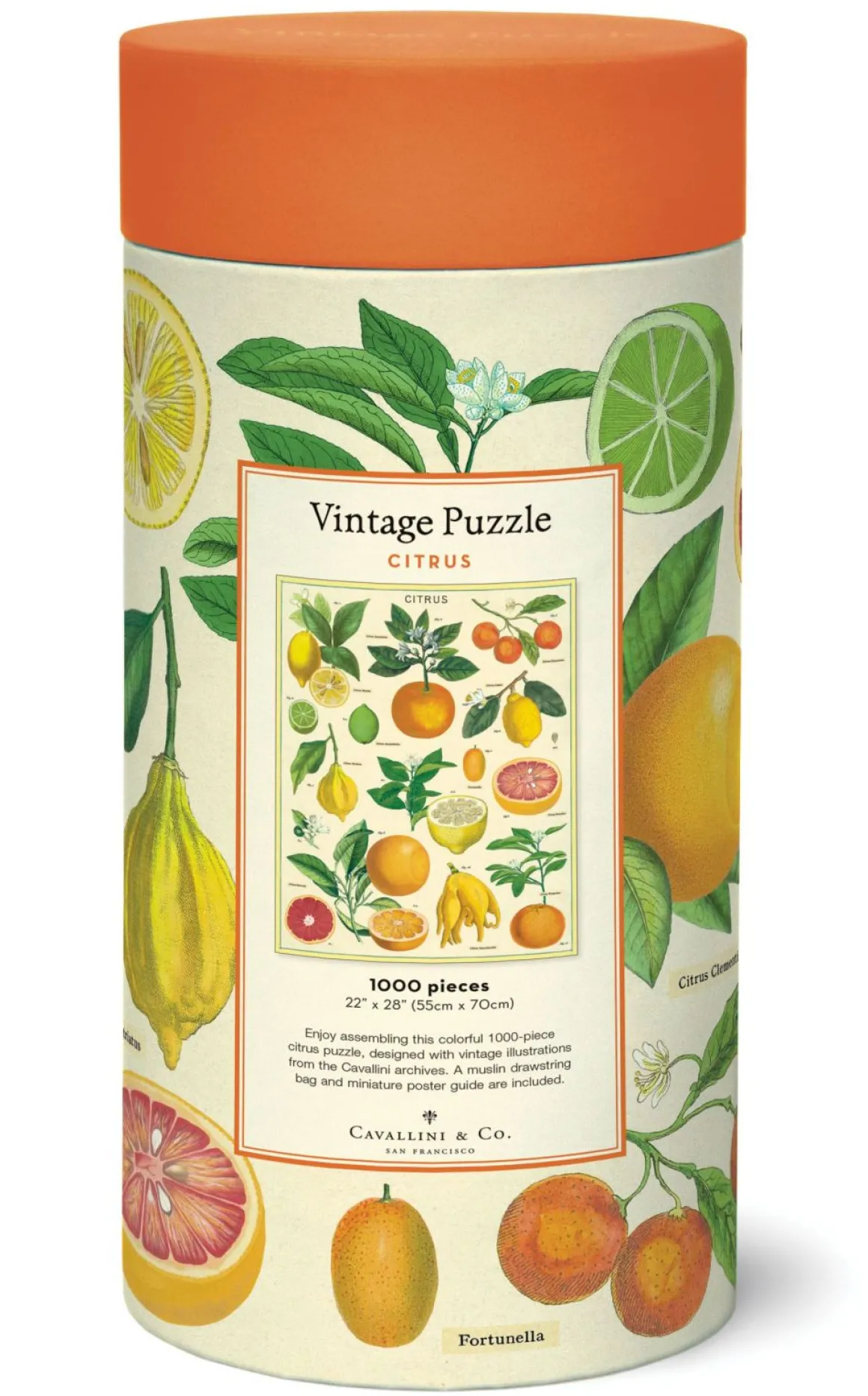 Cavallini & Co – Citrus 1000 Piece Puzzle