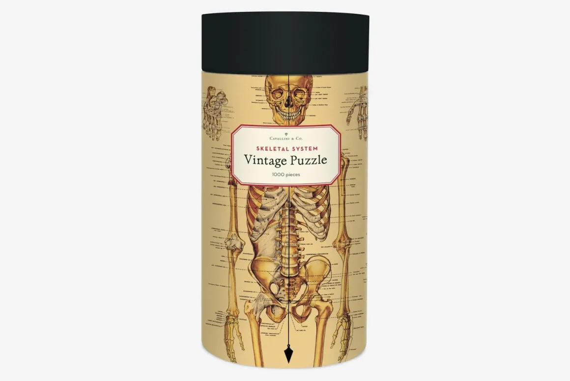 Cavallini & Co – Vintage Puzzle – Skeletal System 1000 Piece Puzzle