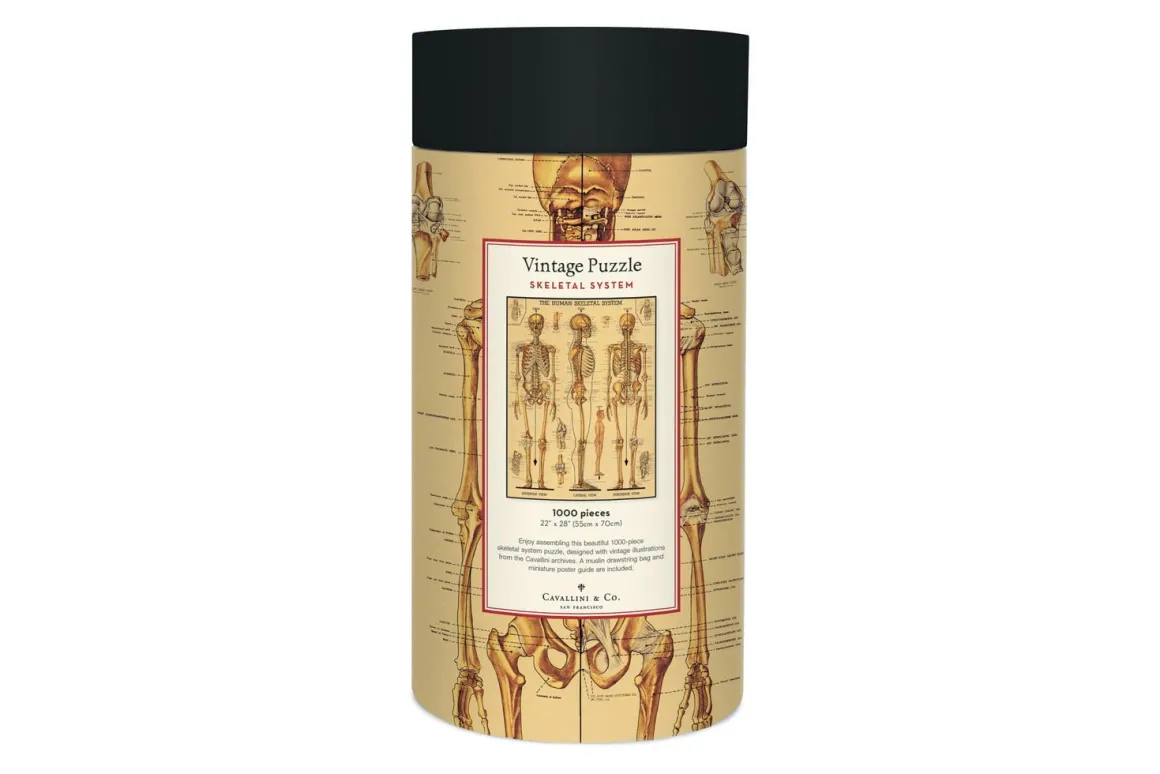 Cavallini & Co – Vintage Puzzle – Skeletal System 1000 Piece Puzzle