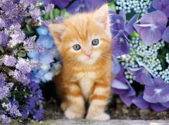 Clementoni – Ginger Cat 500 Piece Puzzle