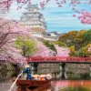 Clementoni – Himeji Castle in Spring 1000 Piece Puzzle