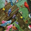 Cobble Hill – Birds of the Forest 1000 Piece Puzzle
