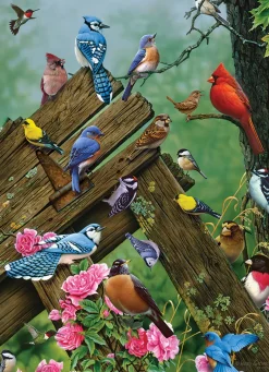 Cobble Hill – Birds of the Forest 1000 Piece Puzzle