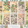 Cobble Hill – Botanicals 1000 Piece Jigsaw Puzzle
