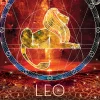 Cobble Hill – Leo 500 Piece Jigsaw Puzzle