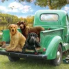 Cobble Hill – Lets Go Fishing 500 Piece Puzzle