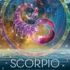 Cobble Hill – Scorpio 500 Piece Jigsaw Puzzle
