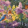 Cobble Hill – Spring Interlude 500 Piece Jigsaw Puzzle