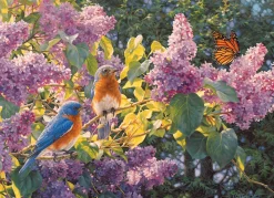 Cobble Hill – Spring Interlude 500 Piece Jigsaw Puzzle