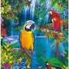 Educa – Bird Tropical Land 500 Piece Puzzle