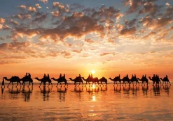 Educa – Golden Sunset on Cable Beach Australia 1000 Piece Puzzle