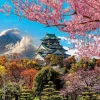 Educa – Osaka Castle Japan 2000 Piece Puzzle