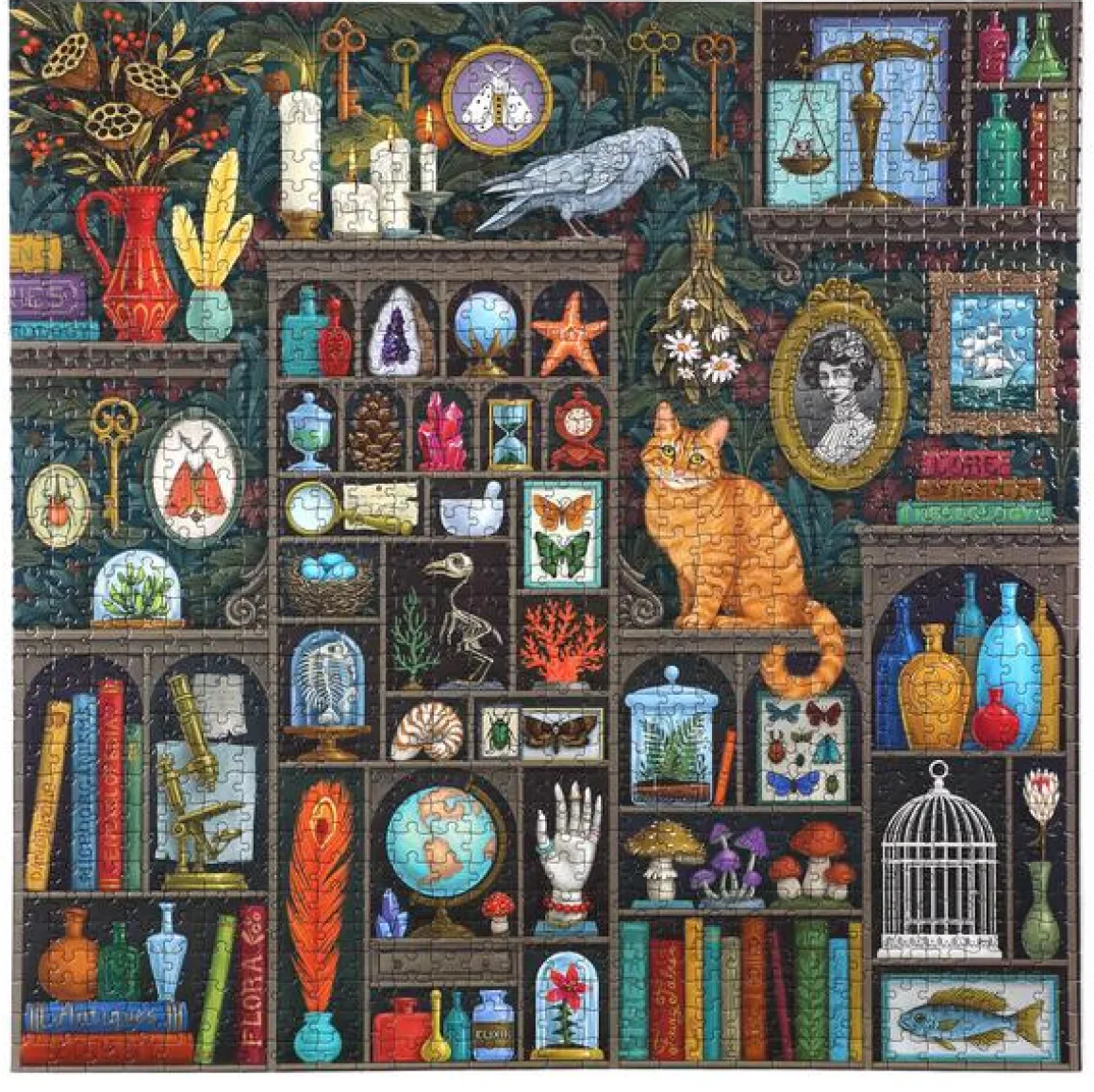eeBoo – Alchemist’s Cabinet 1000 Piece Puzzle