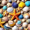 Enjoy – Beach Treasure 1000 Piece Puzzle
