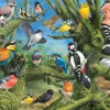 Eurographics – Garden Birds, Jardin 1000 Piece Puzzle