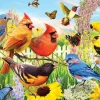 Eurographics – Garden Birds 1000 Piece Puzzle