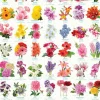Eurographics – The Language of Flowers 1000 Piece Puzzle