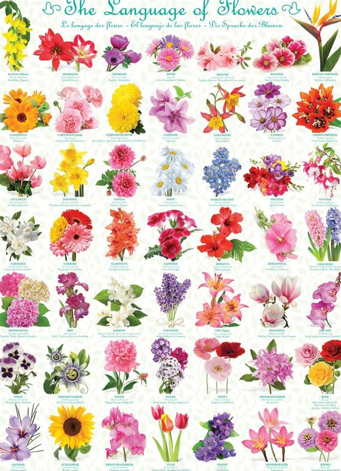 Eurographics – The Language of Flowers 1000 Piece Puzzle