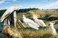Garry Fleming – Country Senate 1000 Piece Puzzle