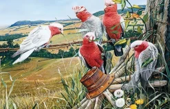 Garry Fleming – Galah Quintet 1000 Piece Jigsaw Puzzle