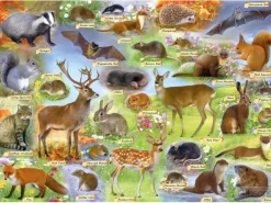Gibsons – British Wildlife 500 Piece Puzzle
