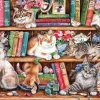 Gibsons – Puss Back in Books 500 XL Piece Puzzle