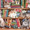 Gibsons – Puss Back in Books 1000 Piece Puzzle