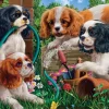 Holdson – Gallery 10 – Puppies at Play 300 XL Piece Puzzle