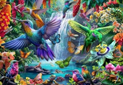 Holdson – Gallery 11 – Tropical Hummingbirds 300 XL Piece Puzzle
