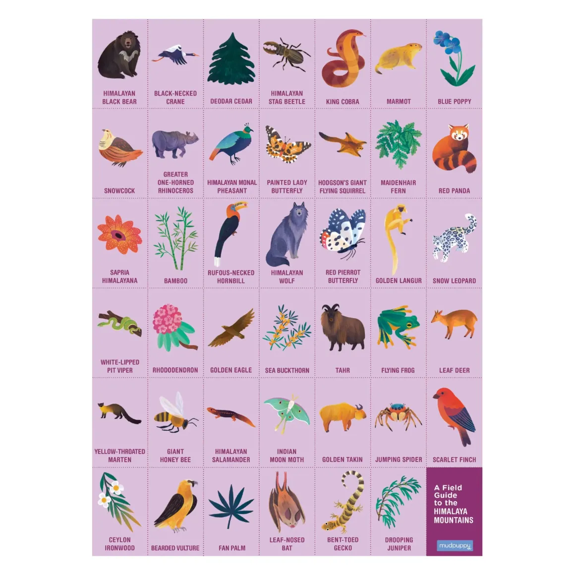 Mudpuppy – Search and Find – In the Mountains 64 Piece Puzzle