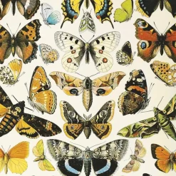 Piatnik – Butterflies and Moths 1000 Piece Puzzle