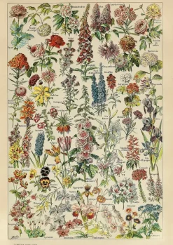 Piatnik – Millot, Flowers 1000 Piece Puzzle