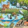 Ravensburger – Animals Above and Below 60 Piece Puzzle