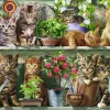 Ravensburger – Cats on the Shelf 500 Piece Puzzle