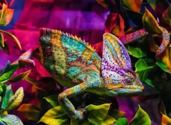 Ravensburger – Chameleon 500 Piece Puzzle