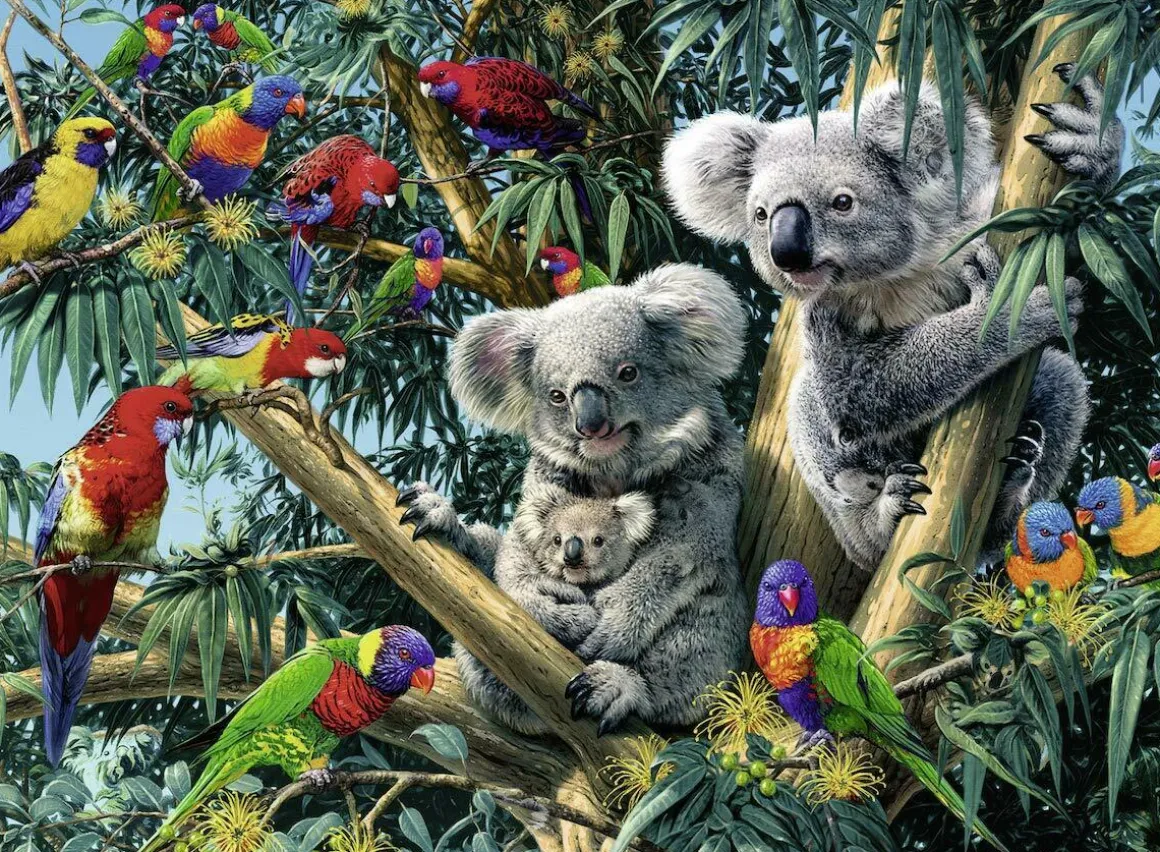Ravensburger – Koalas in a Tree 500 Piece Jigsaw Puzzle