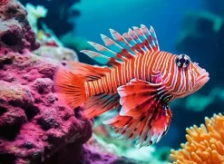 Ravensburger – Red Lionfish 500 Piece Puzzle