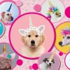 Ravensburger – Unicorn Party 300 Piece Puzzle