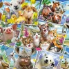 Schmidt – Animal Selfies 200 Piece Puzzle