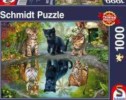 Schmidt – Dream Big 1000 Piece Puzzle