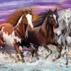 Schmidt – Trio of Wild Horses 200 Piece Jigsaw Puzzle