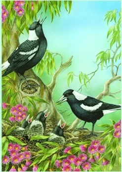 Shirley Barber – Australian Magpies 1000 Piece Puzzle