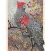 Shirley Barber – Gang-Gang Cockatoos 1000 Piece Puzzle